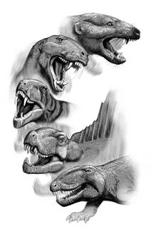 drawings of Dimetrodon