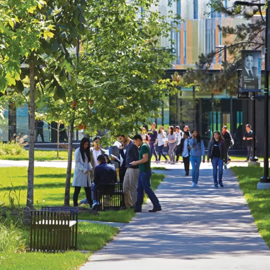 Students walking through and socializing around a pathway on campus.