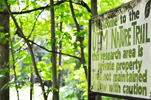 UTM Nature Trail