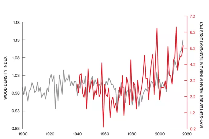 A line graph from 1900 to 2020 showing the average mean temperature May to September has increased from a little over 2.2 degrees celsius to over 6.2 degrees celsius.