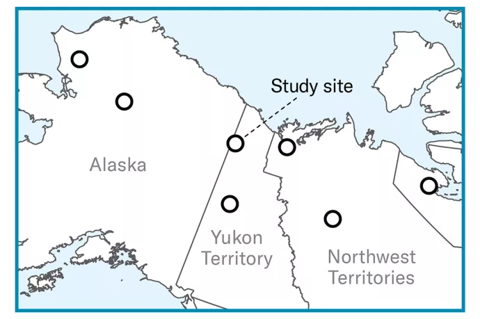 Line drawing of map of northern Canada, with a circle in the upper left side of Yukon Territory next to Alaska as the study site.