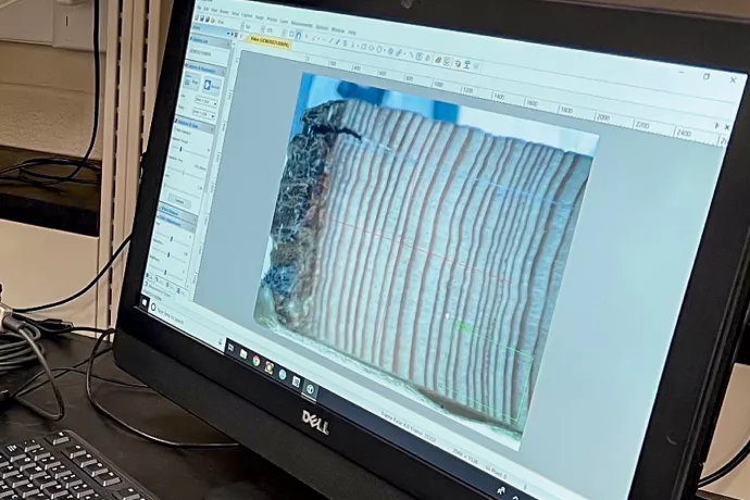 Image of computer screen showing image of close up of tree rings