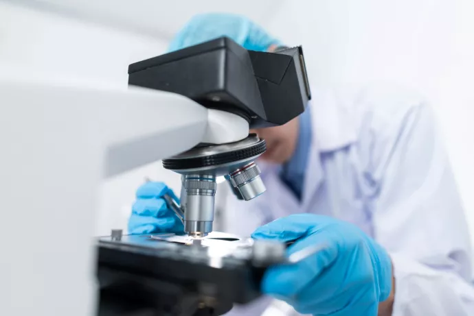 Researcher looks at sample under microscope