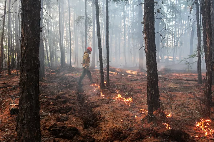 Firefighter walking through burning forest