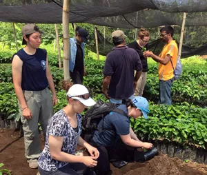 Students at coffee plantation in Guatemala