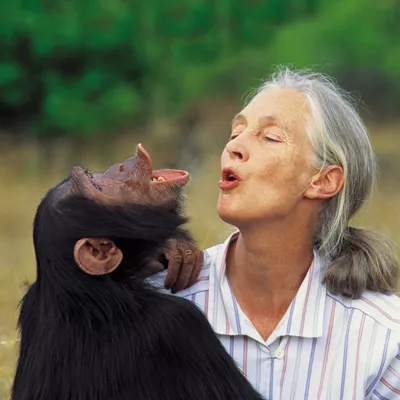 Image of Dr. Jane Goodall