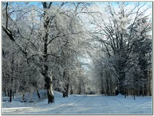 Principal's Road in winter