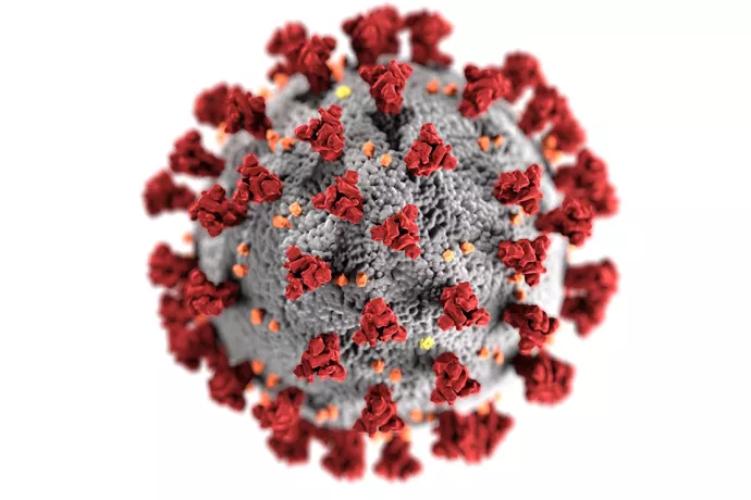 Image of COVID-19 virus, grey sphere with small, red protrusions (spiky ball) 
