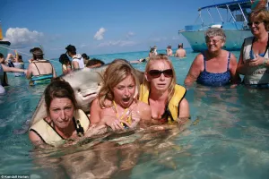 Three women pose in the water with a stingray