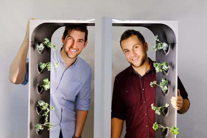 To men peeking out from square hydroponics apparatus