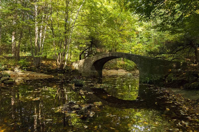 Arched stone bridge over pond, surrounded by trees