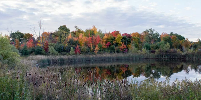 Wilson Pond at UTM in autumn