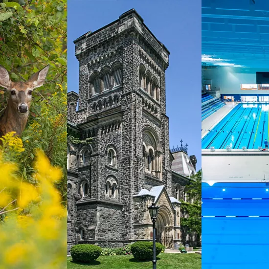 Grid of three photos, first is a deer in front of trees looking at the camera, middle is of a stone square tower with arched windows, last is of a poool with 10 lanes
