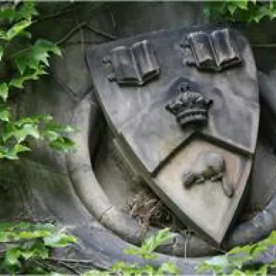 Stone crest surrounded by green ivy