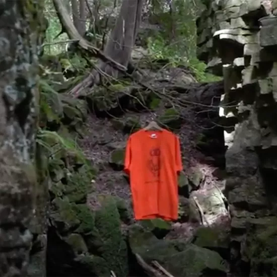 Orange shirt hanging in woods
