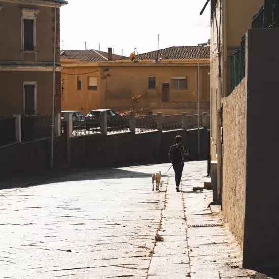 Person walking dog along empty street