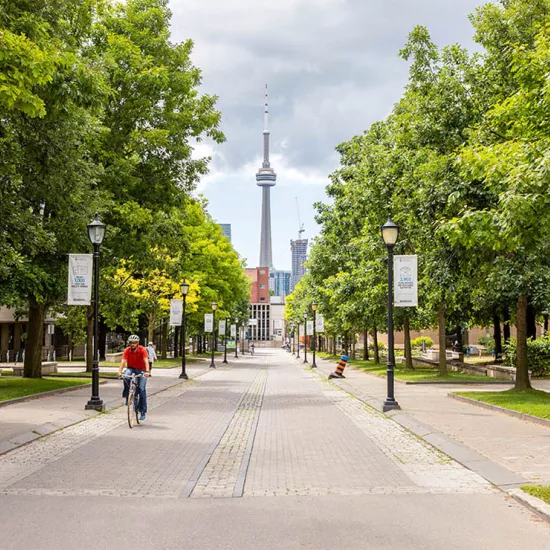 Man riding a bike toward camera along road on St. George campus with CN Tower on the background