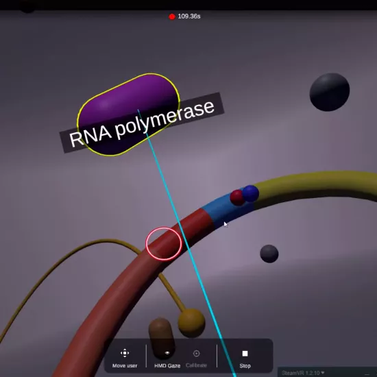 Computer rendering with an purple oval shape outlined in yellow near the centre with the words RNA plymerase written over it. There are grey spheres in the background and a red, blue and yellow curved tube in the foreground