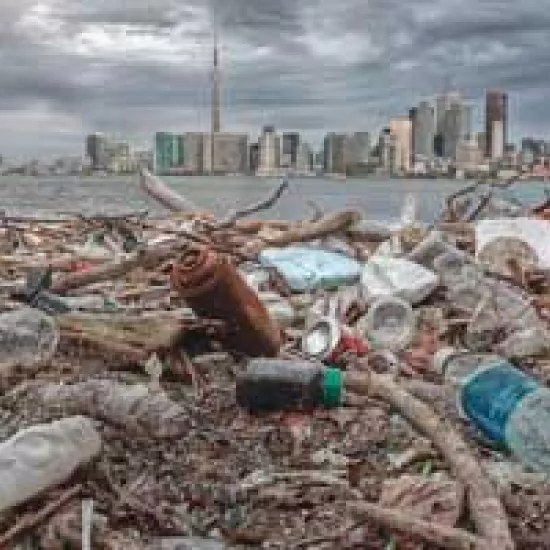 Photo of Ward Island beach covered in litter. The Toronto skyline is visible in the background.