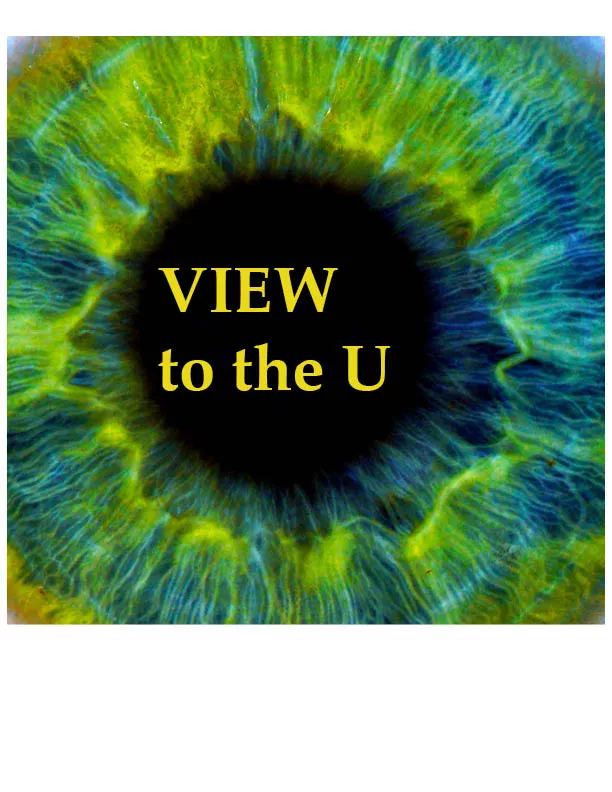 Image of VIEW to the U logo