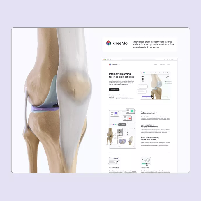 Detailed model of a knee and screenshots of kneeMo