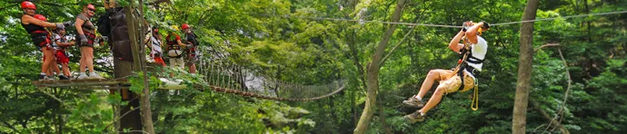 Man on a zipline in the forest