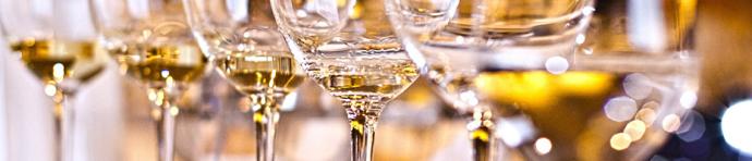 Close up of multiple glasses of white wine 