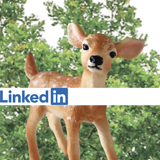 Image of toy fawn with LinkedIn logo in front