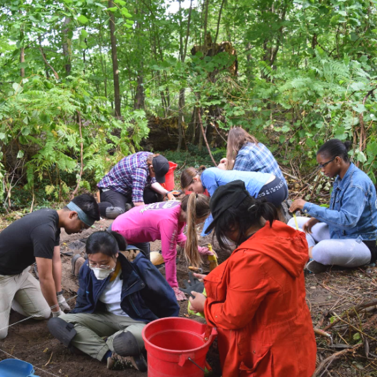 students working on the ground in the woods