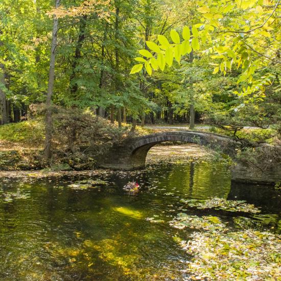 stone bridge over pond surrounded by trees in summer