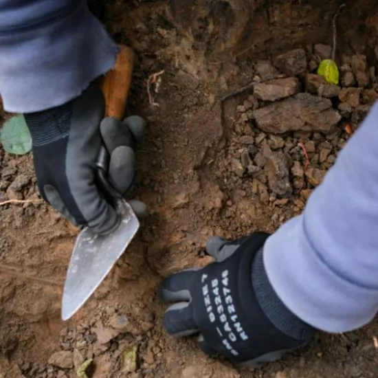 gloved hands holding trowel over dirt. photo by Giovanni Capriotti