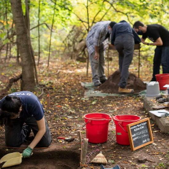 Four people working at an archeological dig site in a wooded forest area with trees with green leaves. Photo by Nick Iwanyshyn.