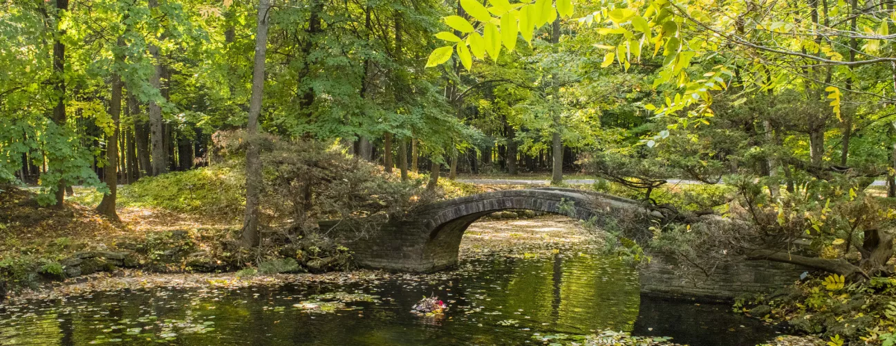 stone bridge over pond surrounded by trees in summer