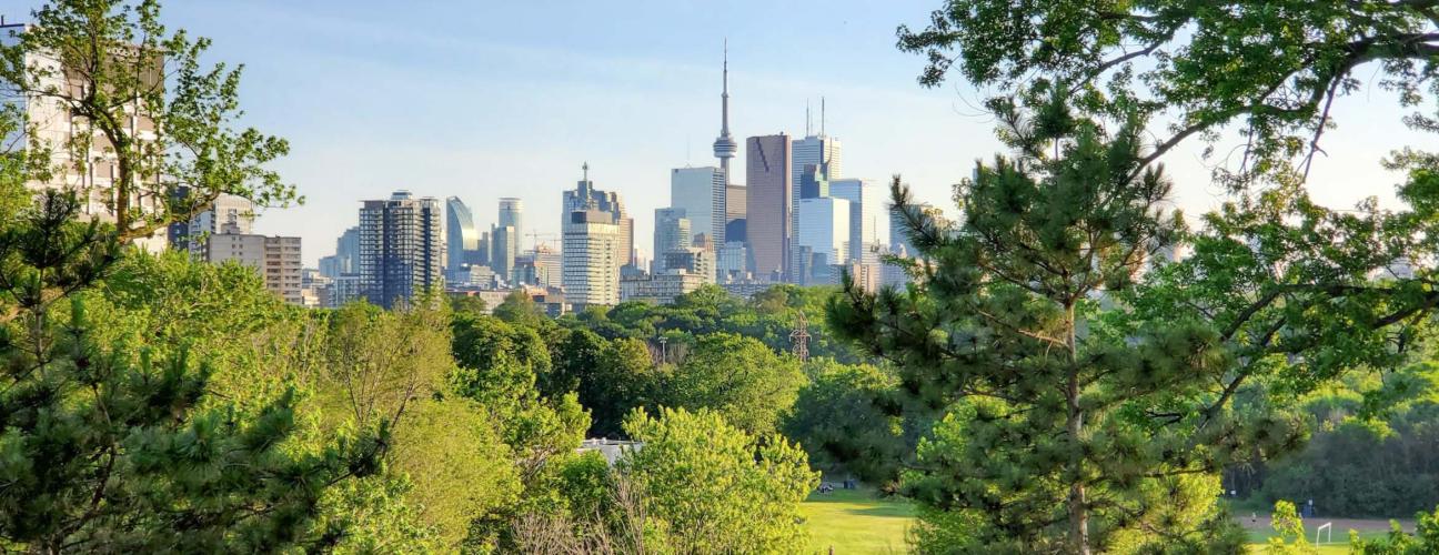 A view of downtown Toronto, Ontario, Canada surrounded by green grass and trees