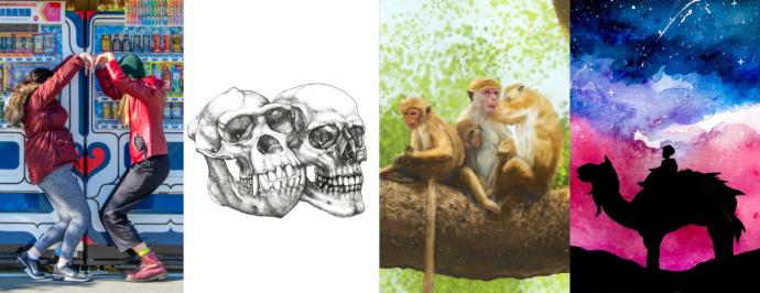 four images from YA journal covers: two students holding hands, primate and human skull, three macaques in a tree, silhouette of person on a camel against a night sky