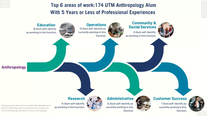 graphic showing areas of work of anthropology graduates