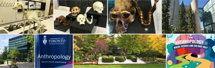 archaeological specimen casts, buildings and garden on UTM campus, Anthropology sign