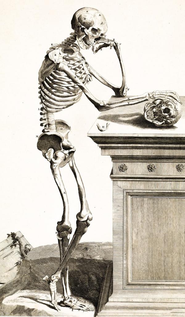illustration of skeleton standing in a thoughtful pose with one hand on a skull on a wooden table
