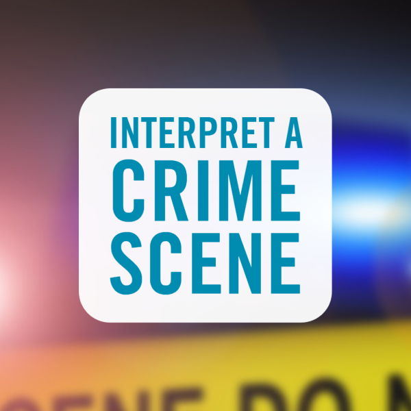 interpret a crime scene over police tape with siren lights