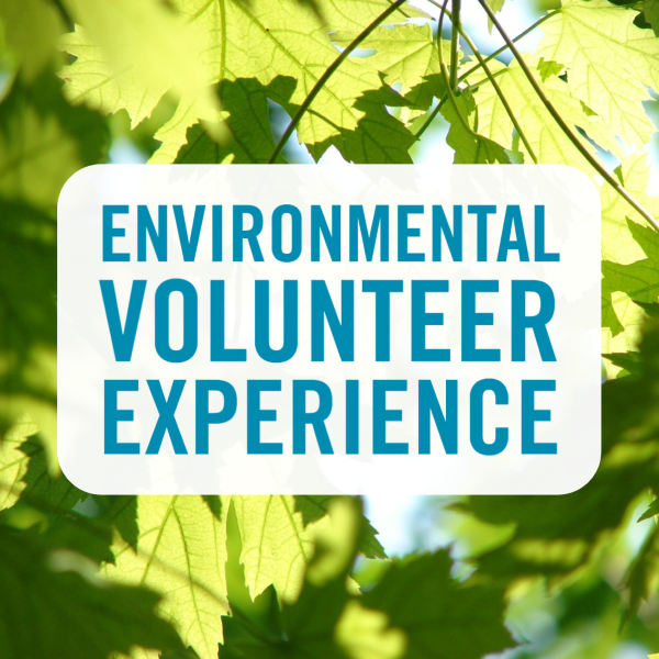 environmental volunteer experience over green maple leaves with sunshine