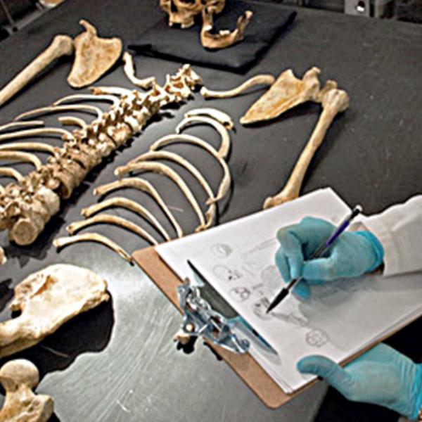 Gloved hands holding pen and clipboard with paper over skeletal remains on a table