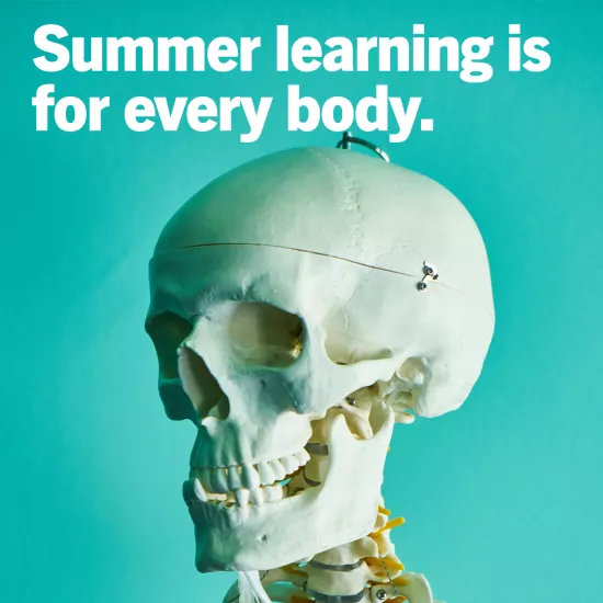 summer learning is for everybody over human skull