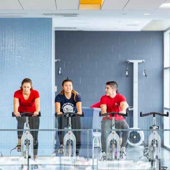 Three people working out on an elliptical machine