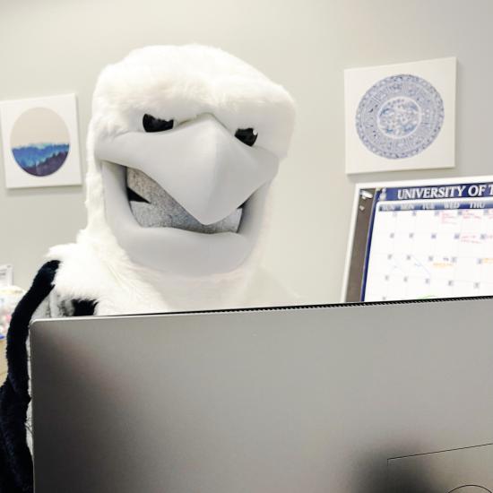Eagle mascot using a desktop computer