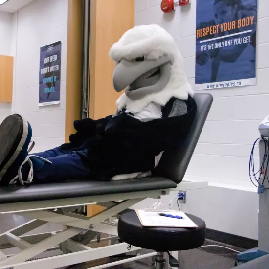 Eagle mascot sitting in Athletic Therapy clinic