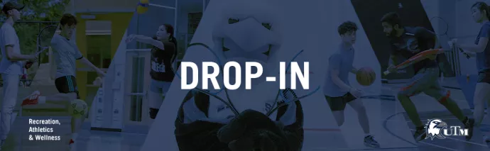 Drop-in Sports Web Banner