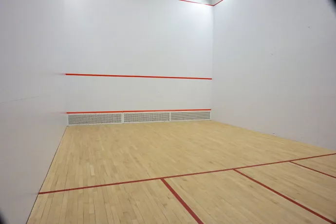 1 squash court facing the playing surface