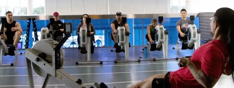 Group of people on rowing machines