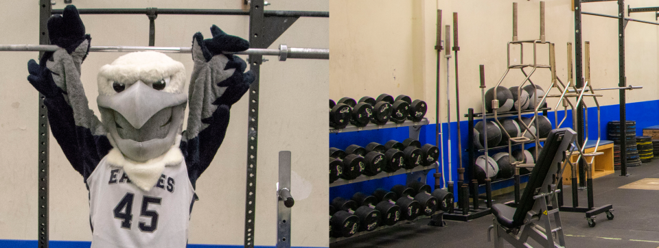 Left: Eagle mascot on a machine Right: Strength & Conditioning Centre