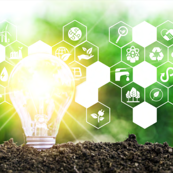 image of a bright lightbulb within soil, with sustainability concept icons around it.